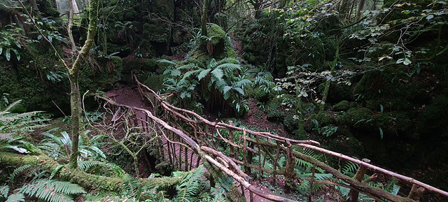 Puzzlewood