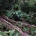 Puzzlewood