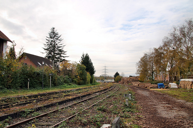Ruhrtalbahn, Bahnhof Herbede (Witten) / 6.11.2021
