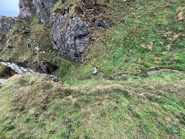 Part of the "path" on the Coastal Trail between Cullen and Findlater Castle