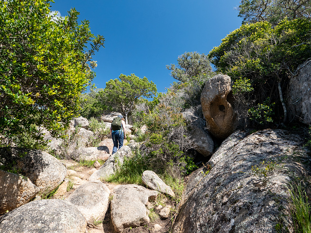 CORSICA - Cala Longa