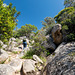 CORSICA - Cala Longa