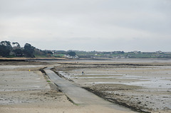 Marée basse entre l'île Callot et le continent