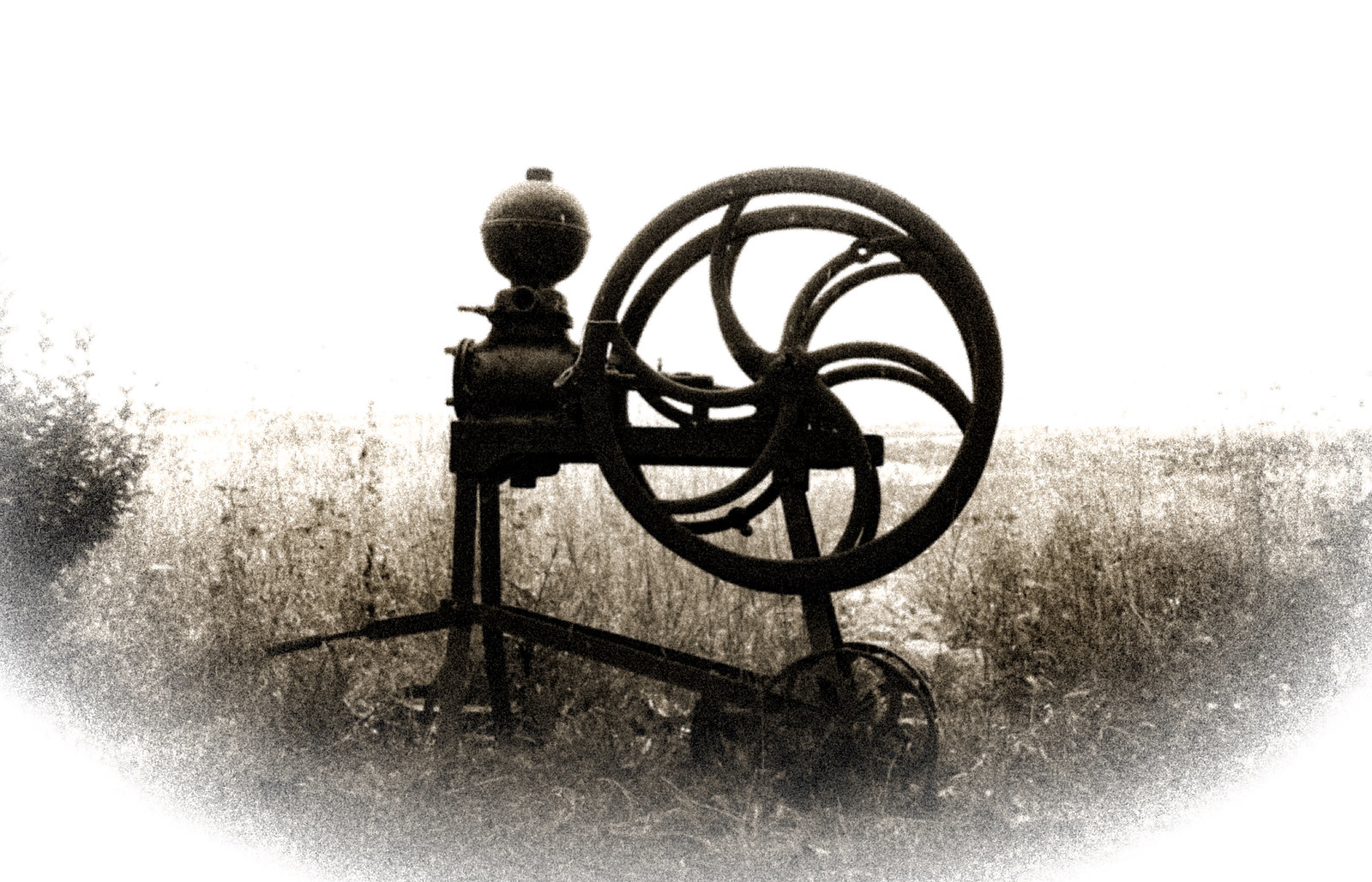 Found in the Fields
