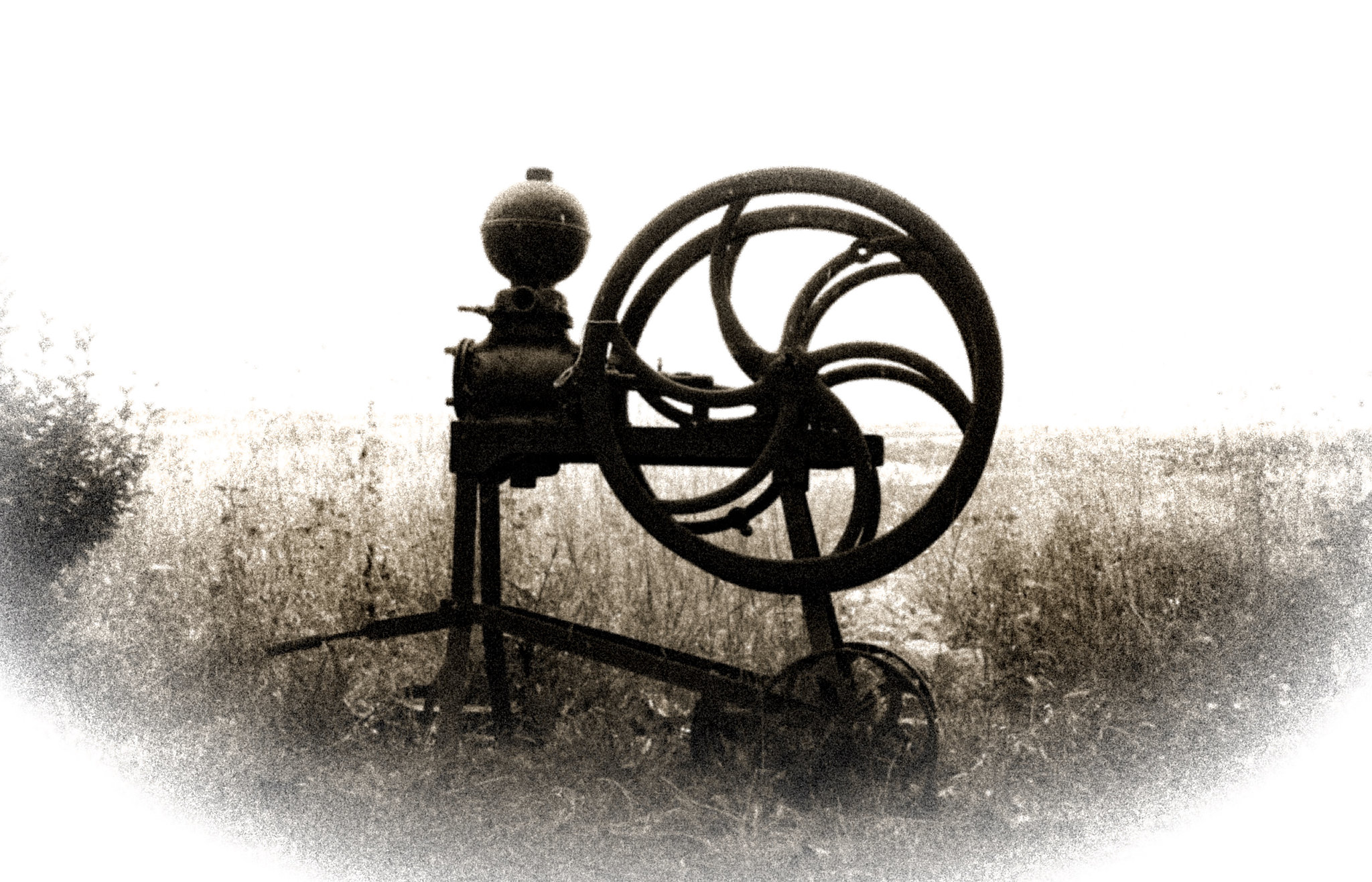 Found in the Fields