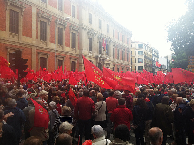 Rojo el bosque de banderas...