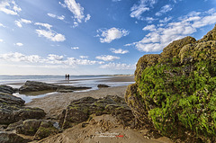 Paysage marin (Seascape) IMGP2506