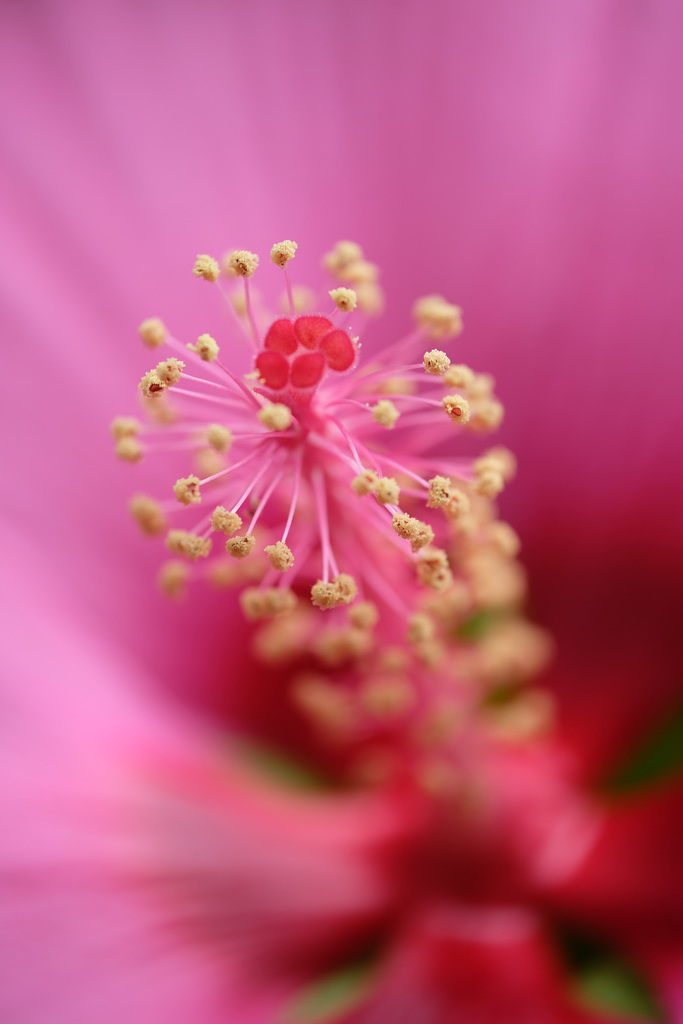 DSCF8017