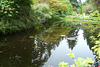 Sunken Garden At The Butchart Gardens