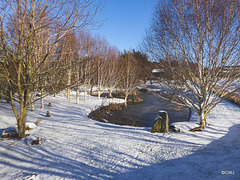 Sunshine snow and blue skies