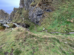 Part of the "path" on the Coastal Trail between Cullen and Findlater Castle