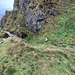 Part of the "path" on the Coastal Trail between Cullen and Findlater Castle