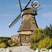 Windmühle "Auguste" (PiP)