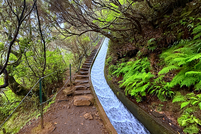 Madeira, Portugal HFF