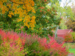 Autumn Barn