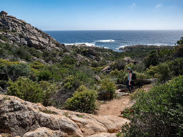 CORSICA - Murta Spana