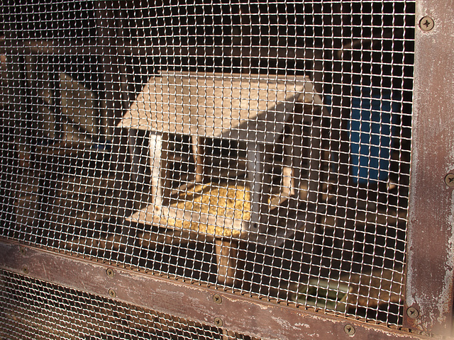 Wire mesh of a bird cage