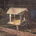 Wire mesh of a bird cage