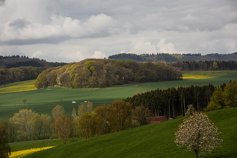 20160423 1225VRAw [D~LIP]  Hörster Bruch, Hörste