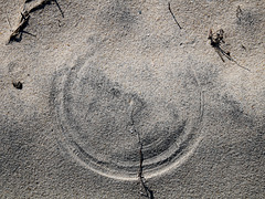 Windblown Arcs in the Sand