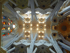 Sagrada Familia ceiling