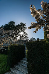 Dartington Hall - 20150414