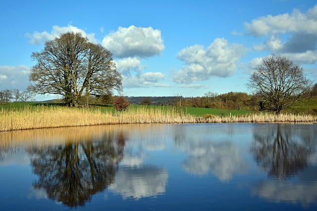 Monarch's Way Pond.