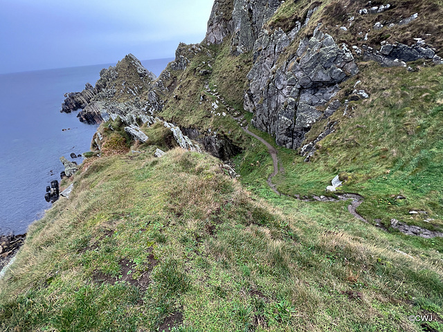 Part of the "path" on the Coastal Trail between Cullen and Findlater Castle