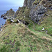 Part of the "path" on the Coastal Trail between Cullen and Findlater Castle