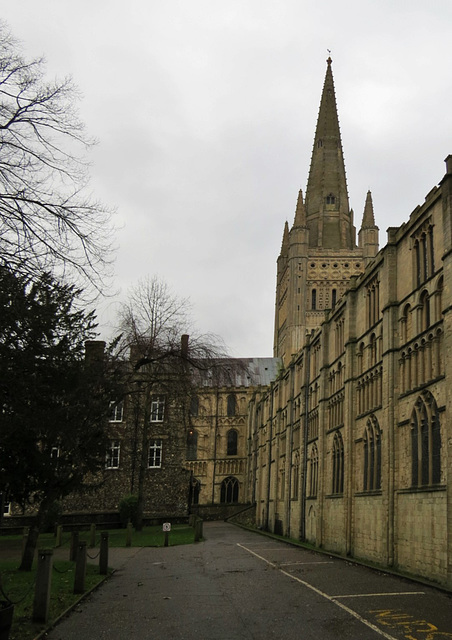 norwich cathedral, norfolk