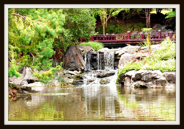 Nerima Japanese Gardens