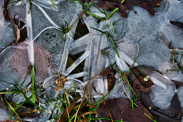 Bodenfrost - ground frost