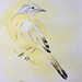 Aquarelle :" L'oiseau jaune " version 4