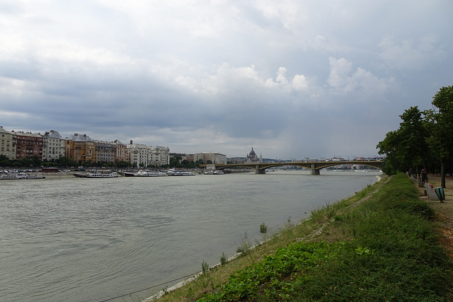 Danube View From Margaret Island