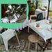 Table ready for Sunday lunch under shadows