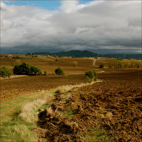 Country path.