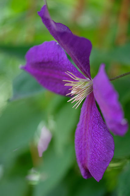 DSCF6189