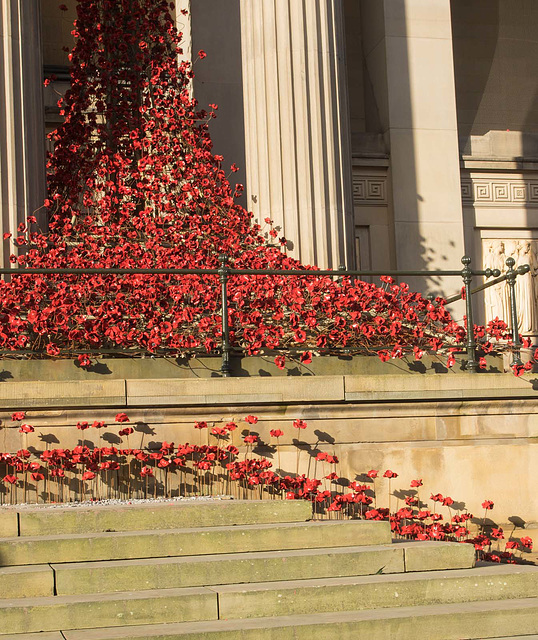 Weeping windows, St Georges Hall, Liverpool.