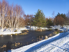 Sunshine snow and blue skies