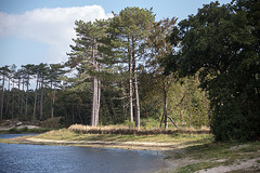 20140911 5134VRAw [NL]  Terschelling