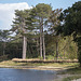 20140911 5134VRAw [NL]  Terschelling