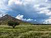 Bob Thompson Peak