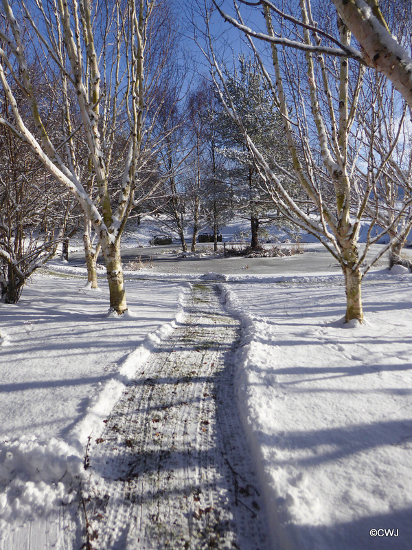Snowplough operations needed this morning...