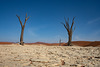 Namibia Deadvlei