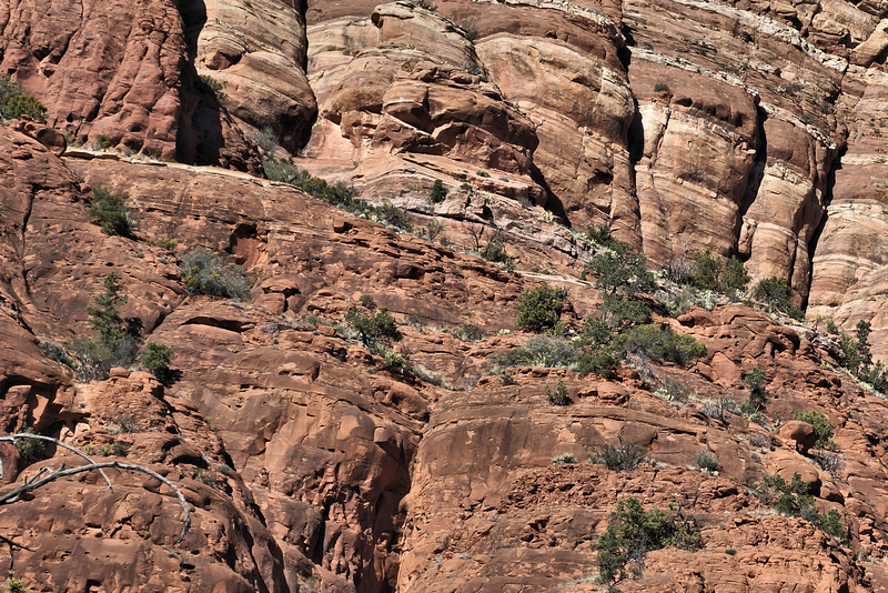 Striped Rocks – Viewed from the Chapel of the Holy Cross, Sedona, Arizona