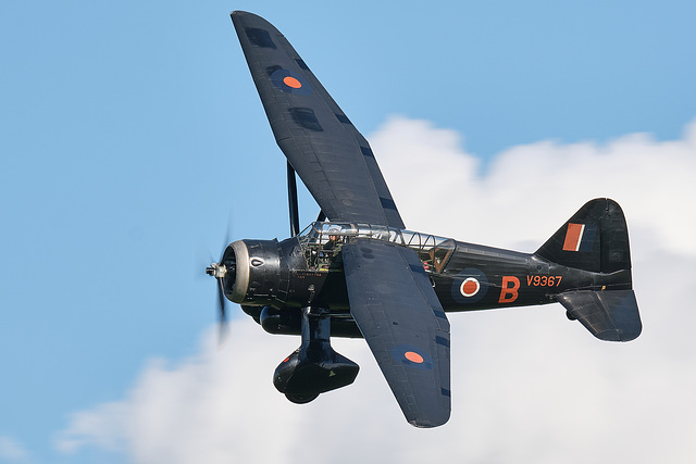 Westland Lysander