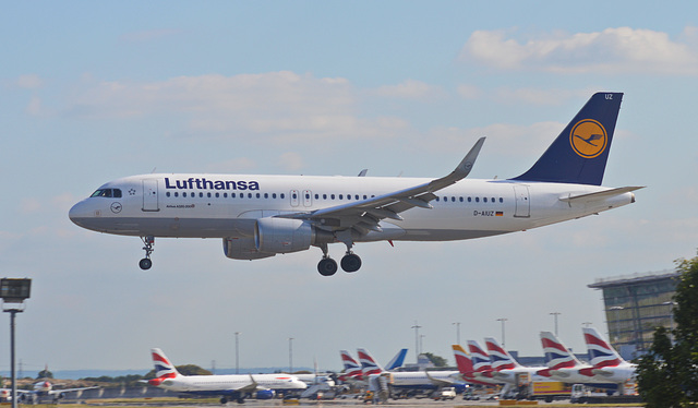 Lufthansa AIUZ