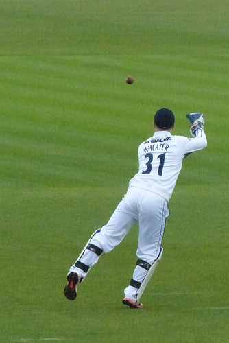 Hampshire Cricket (4) - 26 April 2015