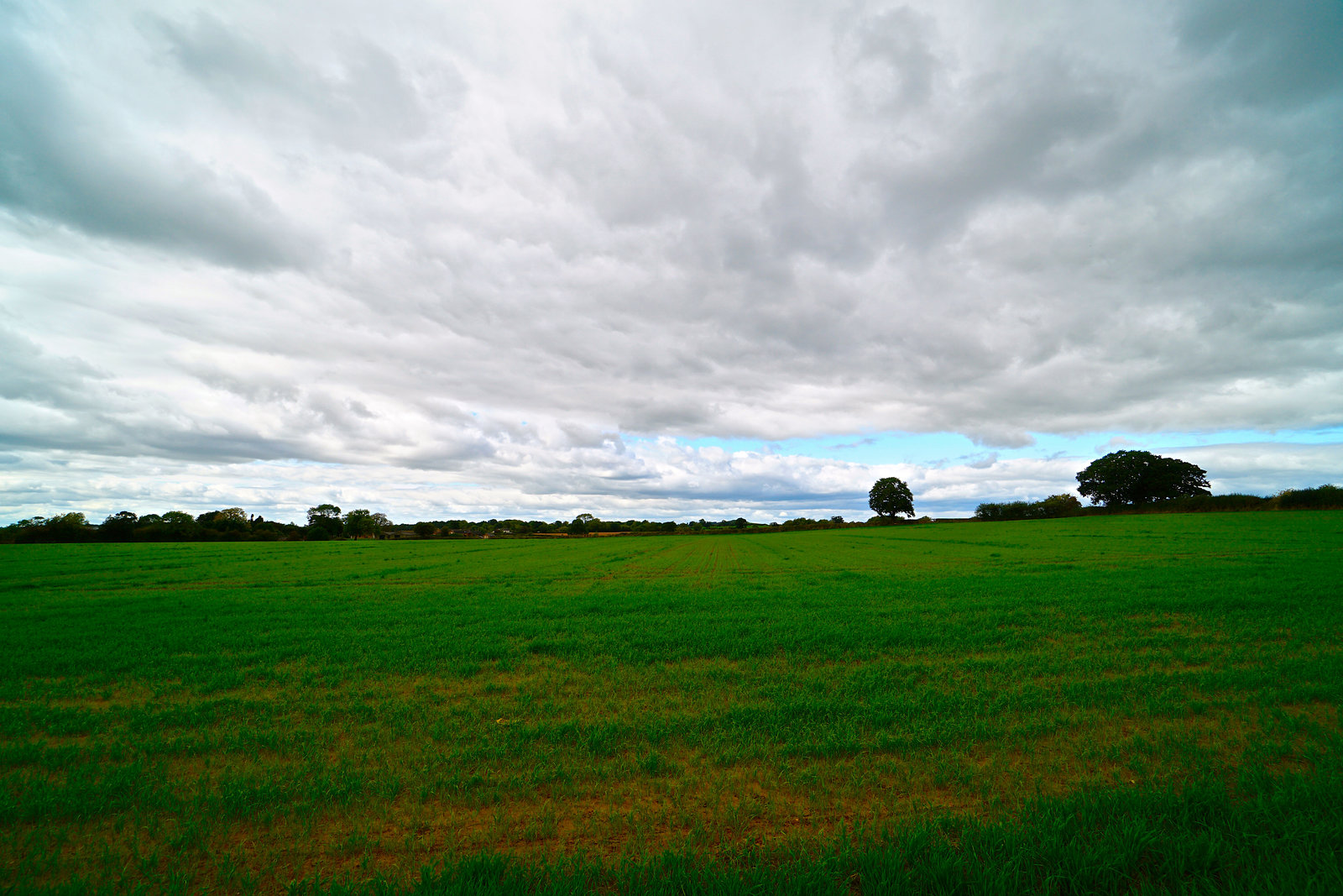 Weather has changed to wind, rain and clouds