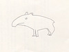 tapir 8811